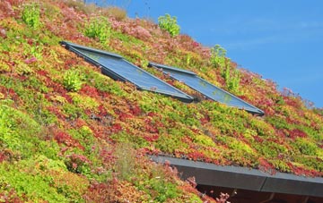 Pipers Pool living roof systems